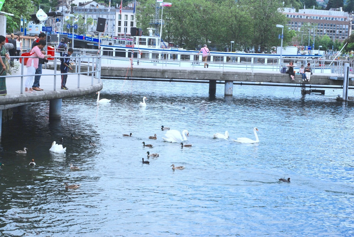 Lake Zurich cruise , Zurich sightseeing, Zurich city, Europe travel, summer travel